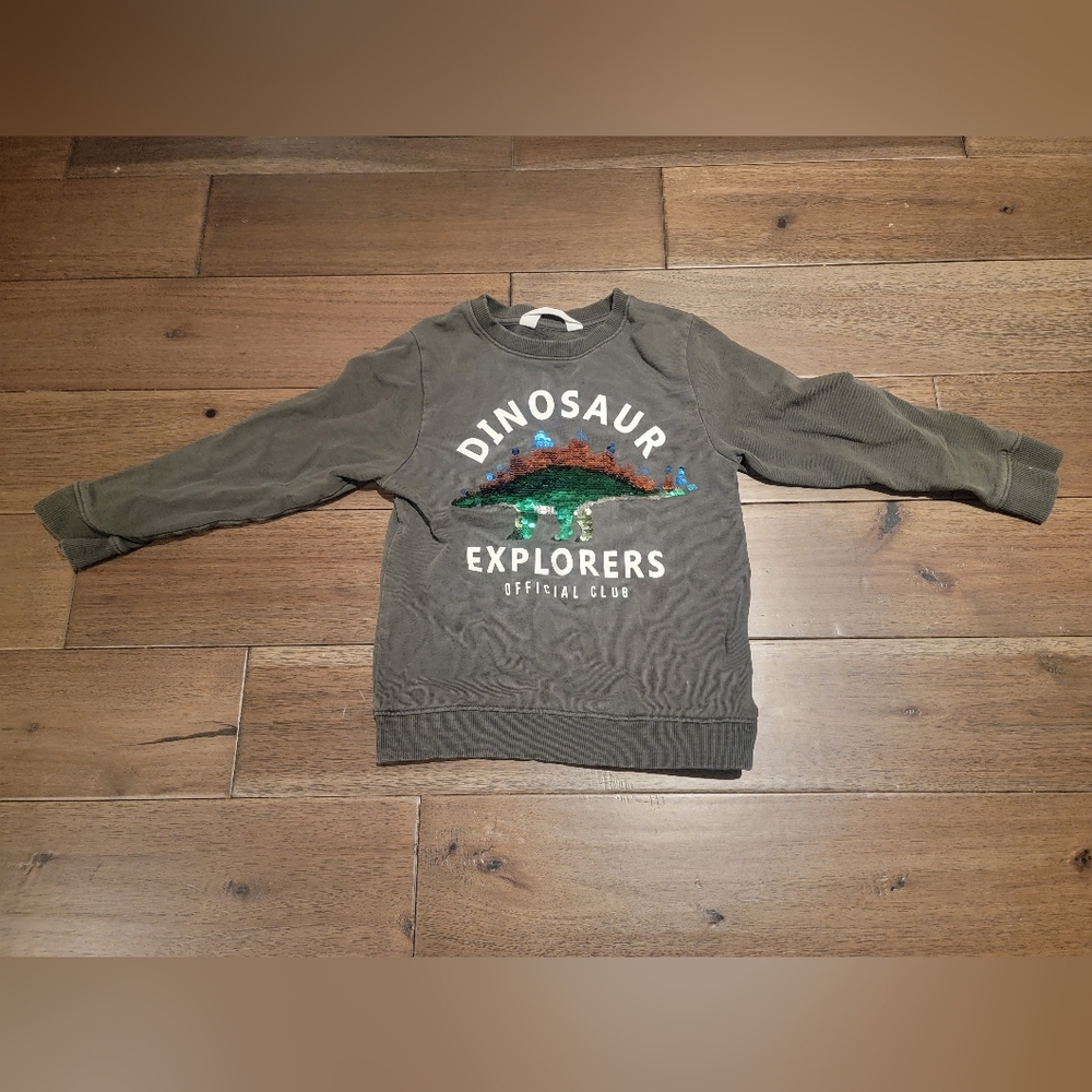 H&M Olive Green Dinosaur Sweater (4–6Y) with Reversible Sequin, 100% Cotton